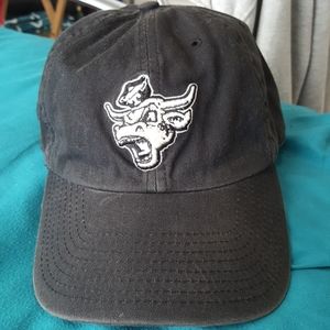 Texas longhorn hat
